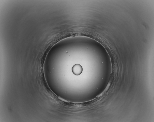 X0000110730609200906191527