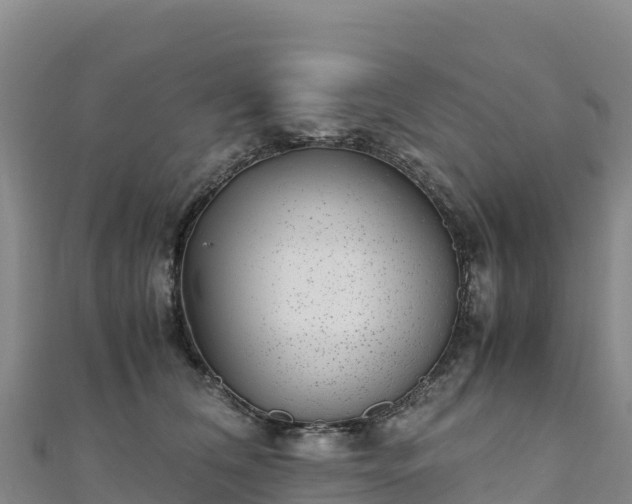 X0000110730612200906191527