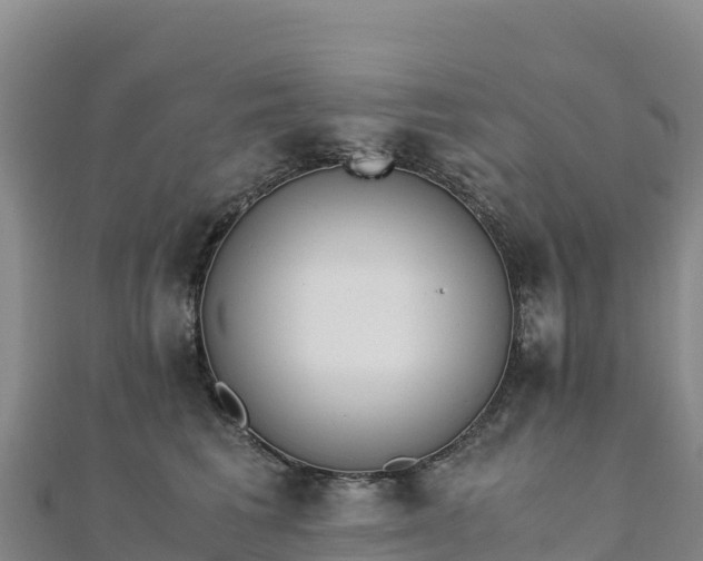 X0000110730613200906191527