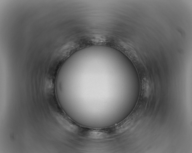 X0000110730614200906191527