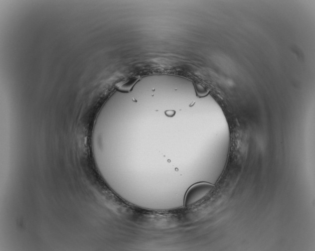 X0000110730615200906191527