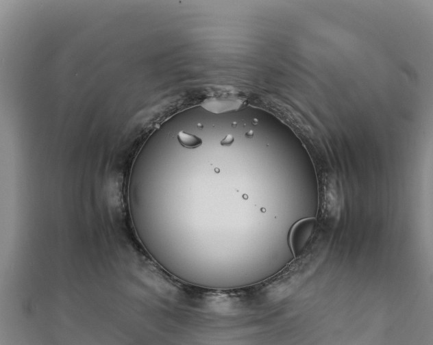 X0000110730616200906191527