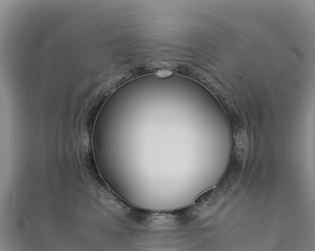 X0000110730617200906191527