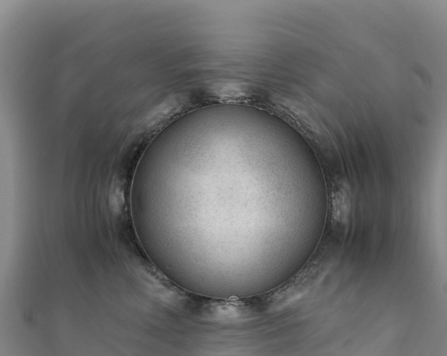 X0000110730618200906191527