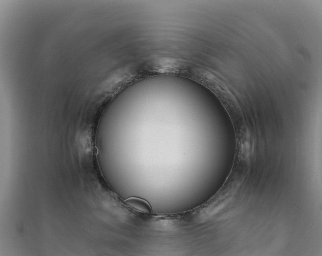 X0000110730620200906191527