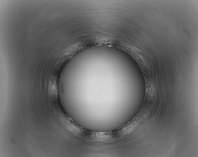 X0000110730622200906191527