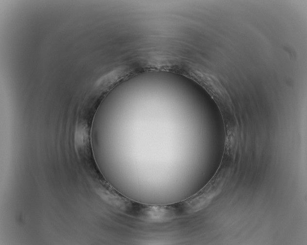 X0000110730623200906191527