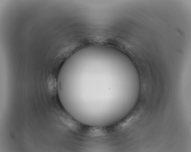 X0000110730624200906191527