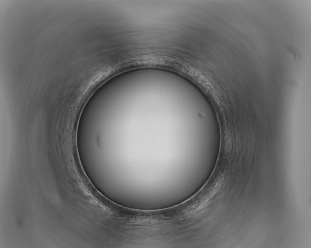 X0000110730625200906191526