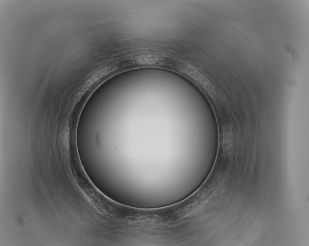 X0000110730626200906191526