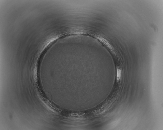 X0000110730627200906191526