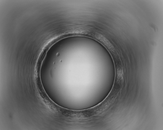 X0000110730628200906191526