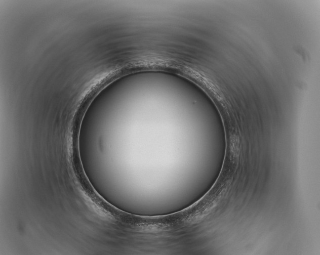 X0000110730629200906191526