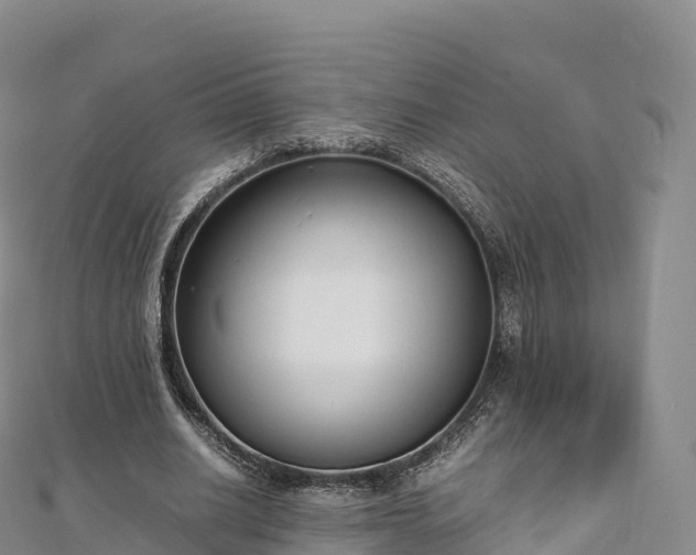 X0000110730630200906191526