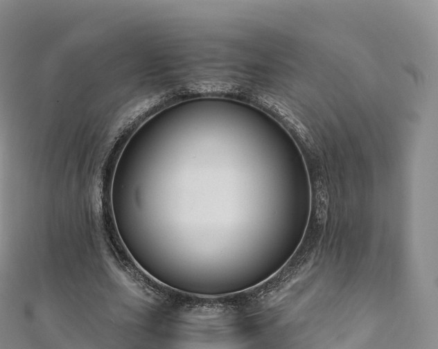 X0000110730631200906191526