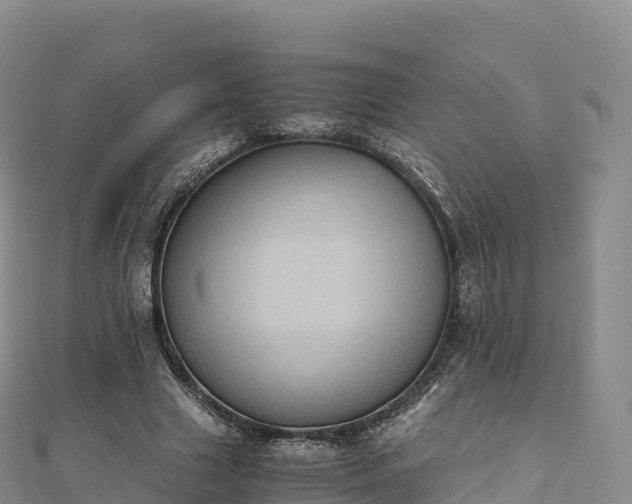 X0000110730633200906191526