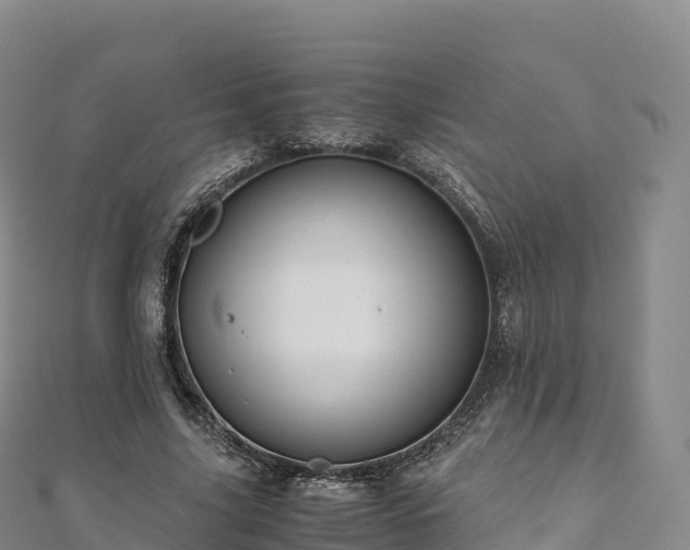 X0000110730635200906191526