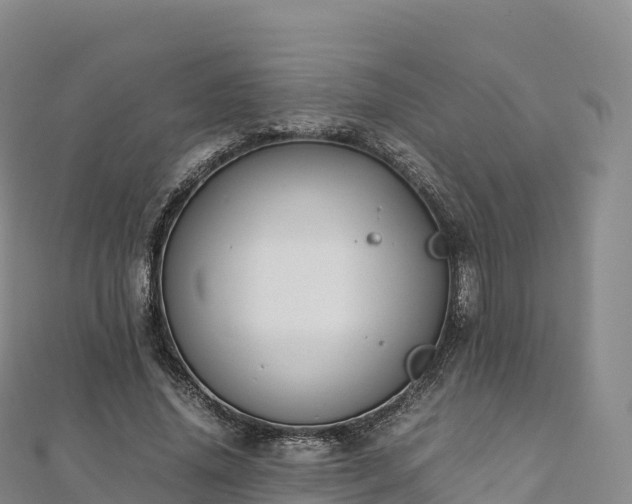 X0000110730636200906191526