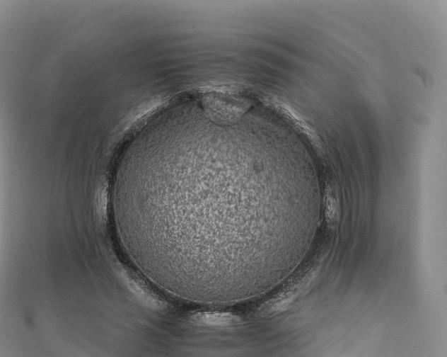 X0000110730637200906191526