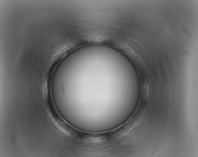 X0000110730638200906191526