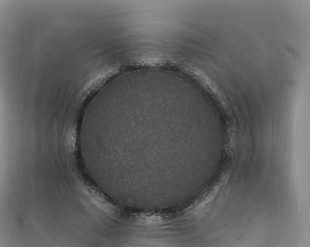 X0000110730640200906191527