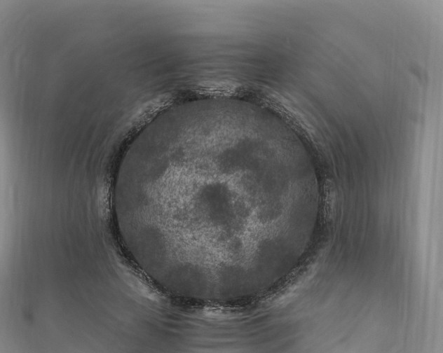 X0000110730641200906191527