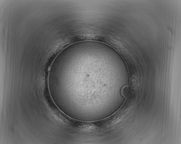 X0000110730642200906191527