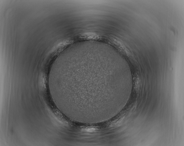 X0000110730643200906191527