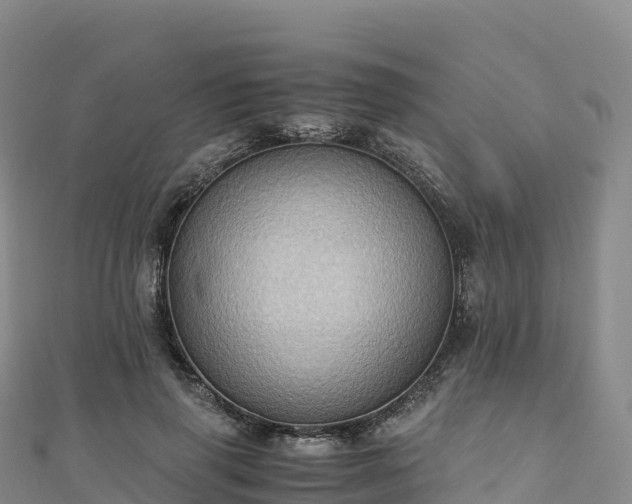 X0000110730645200906191527