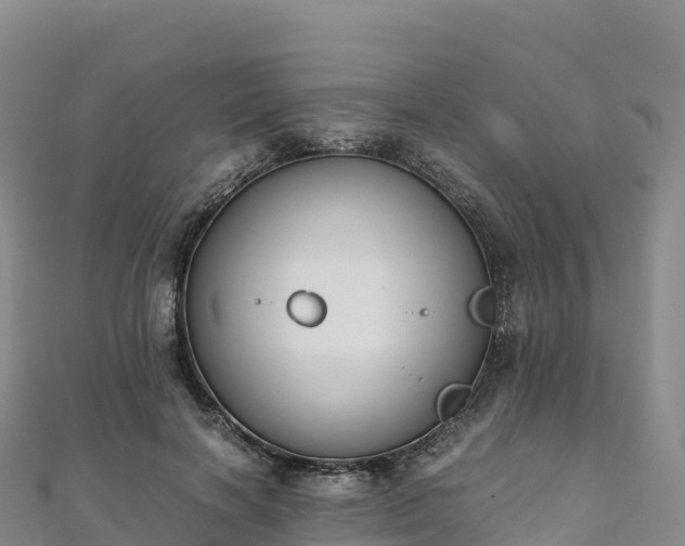 X0000110730646200906191527