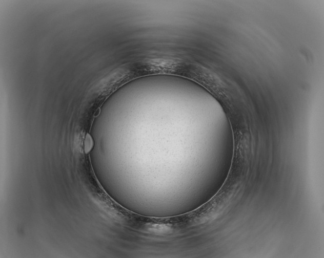 X0000110730649200906191527