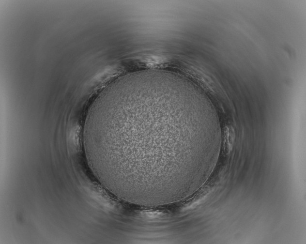 X0000110730650200906191527