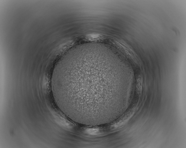 X0000110730653200906191527