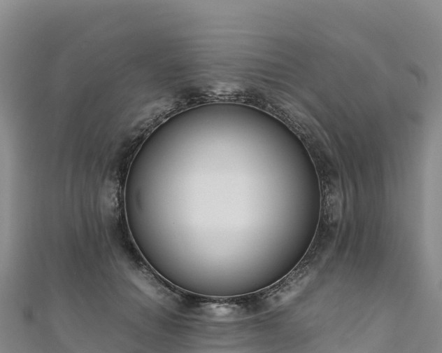 X0000110730654200906191527