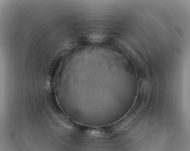 X0000110730655200906191527