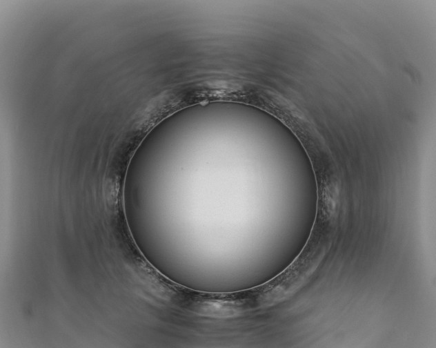 X0000110730657200906191527