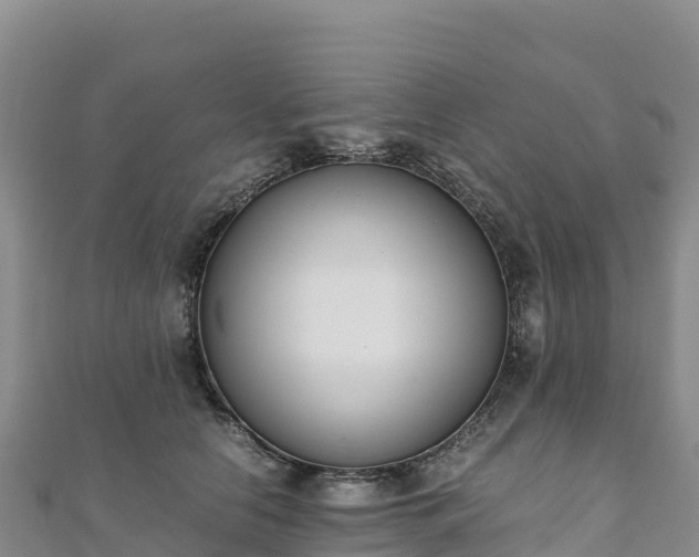 X0000110730658200906191527