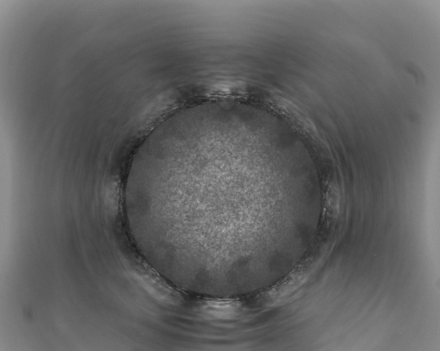 X0000110730659200906191527