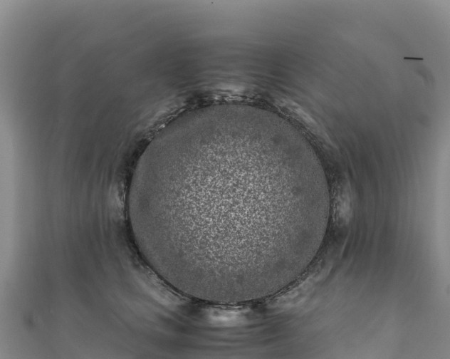 X0000110730661200906191527