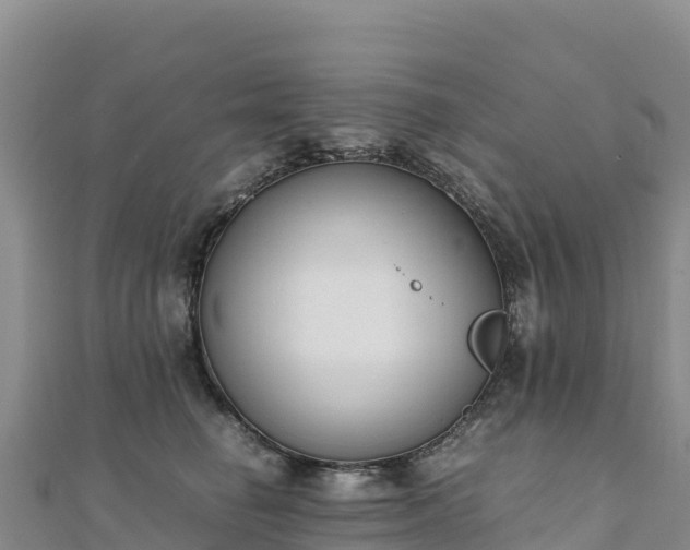 X0000110730662200906191527