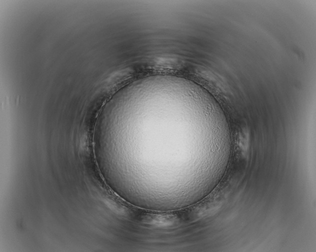 X0000110730663200906191527