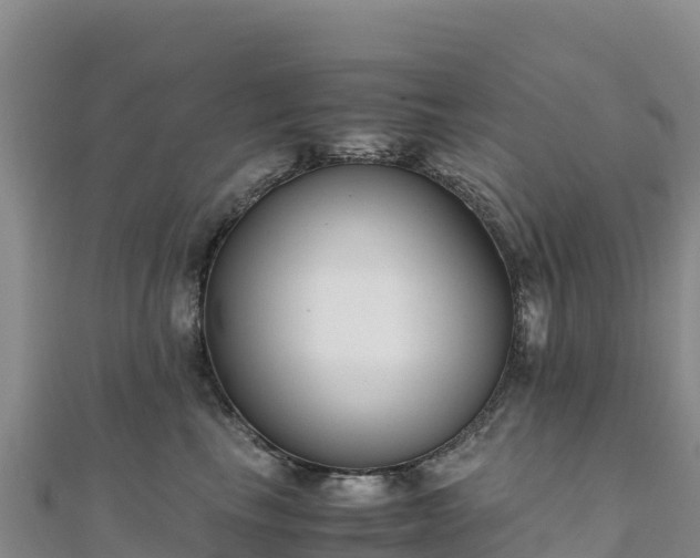 X0000110730665200906191527