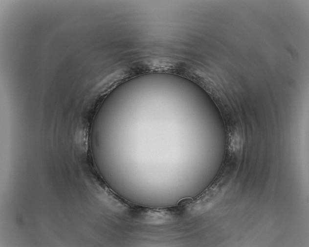 X0000110730666200906191527