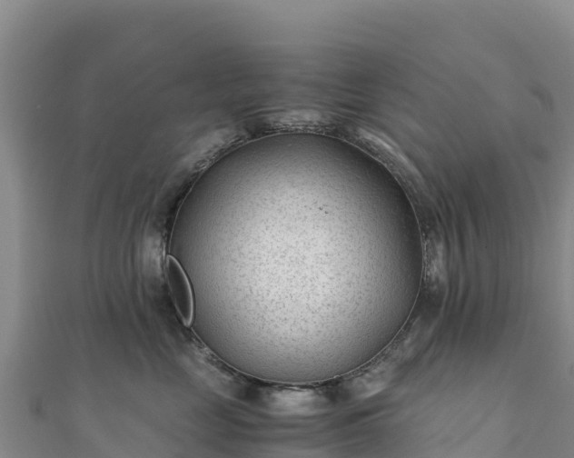 X0000110730669200906191527