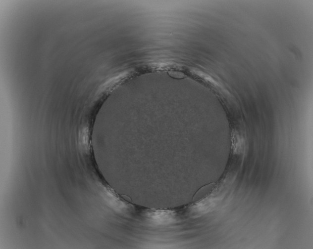 X0000110730670200906191527