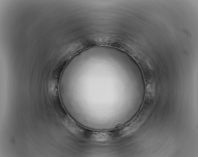 X0000110730671200906191527