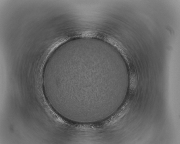 X0000110730673200906191526