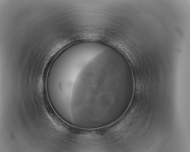 X0000110730674200906191526