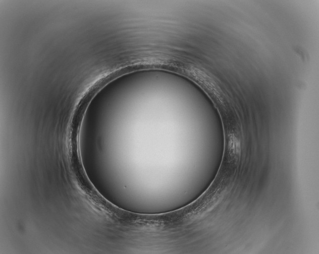 X0000110730676200906191526