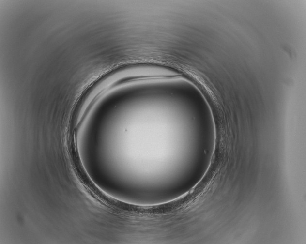 X0000110730677200906191526